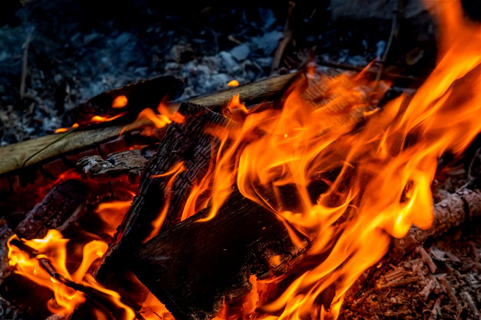 Fire