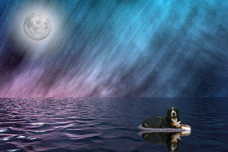 Sea moon full moon