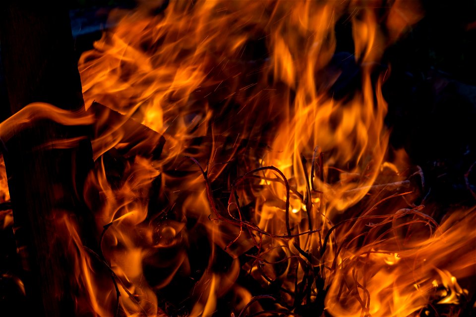 Fire