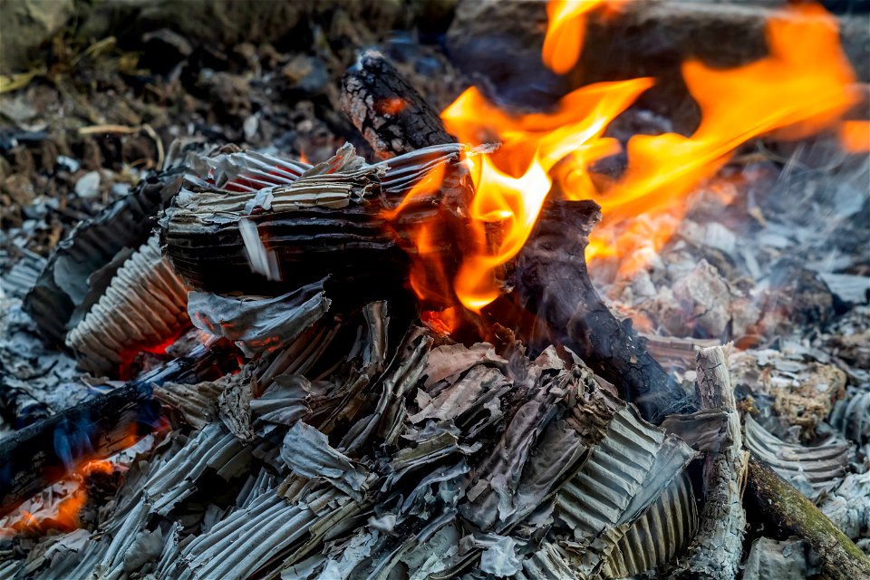 Fire