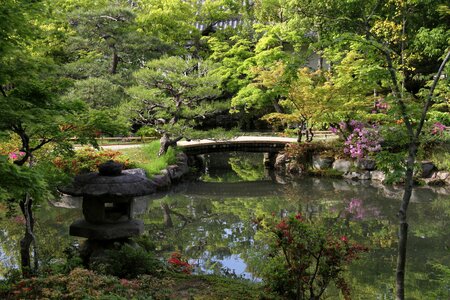 Japanese garden nature green