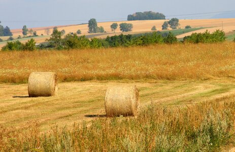 Straw bales landscape agriculture