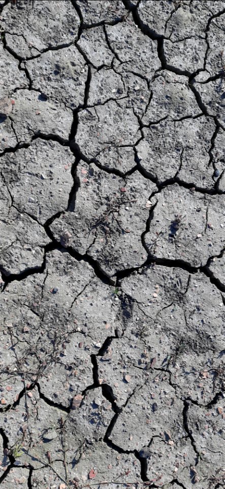 Soil Cracked