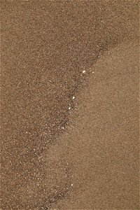 Sea Sand photo