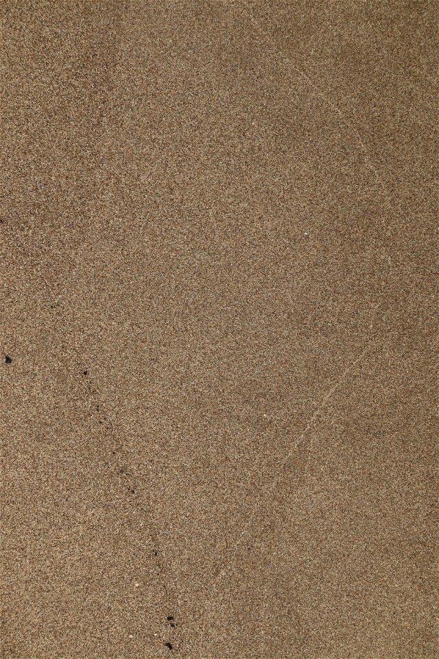 Sea Sand photo