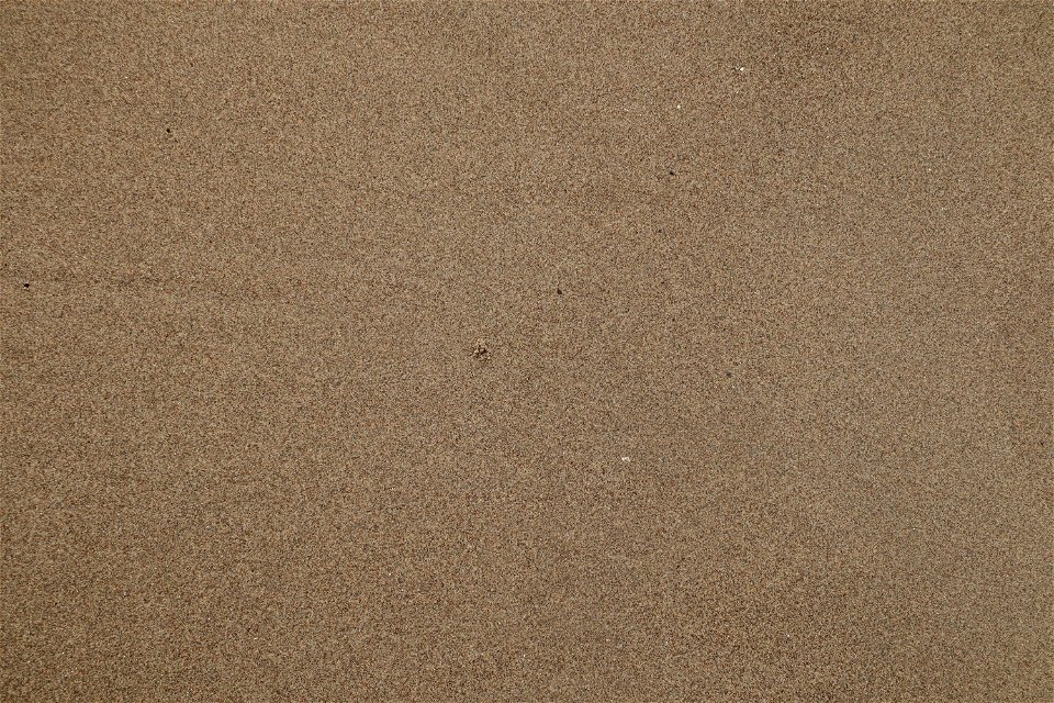 Sea Sand