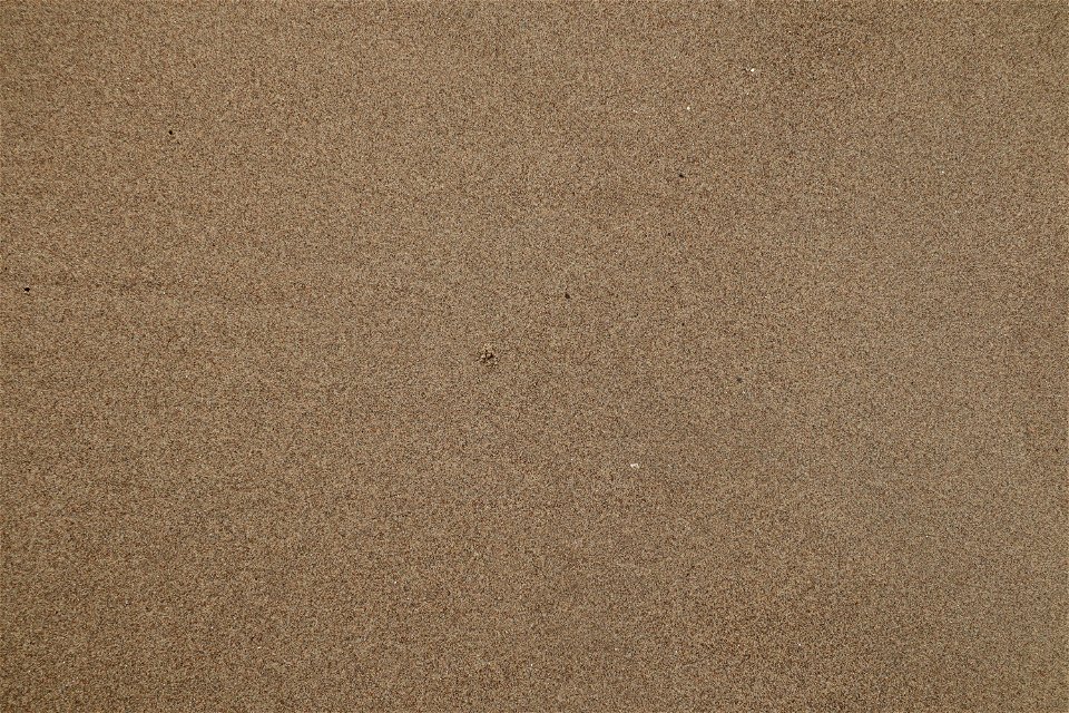 Sea Sand photo