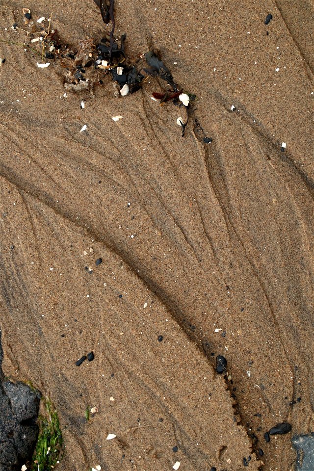 Sea Sand