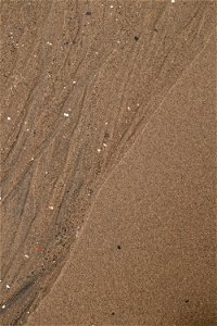 Sea Sand photo