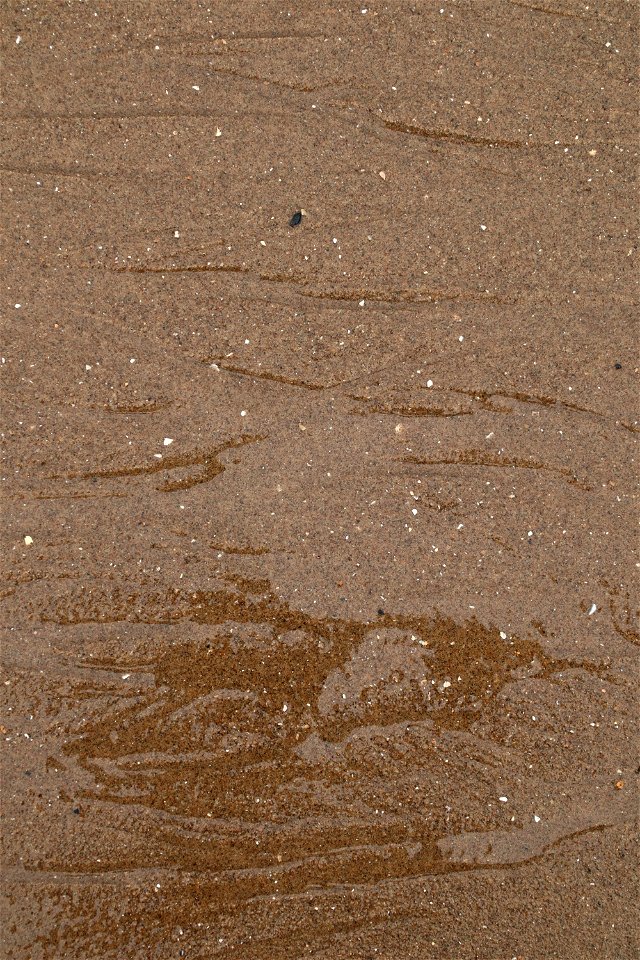 Sea Sand photo