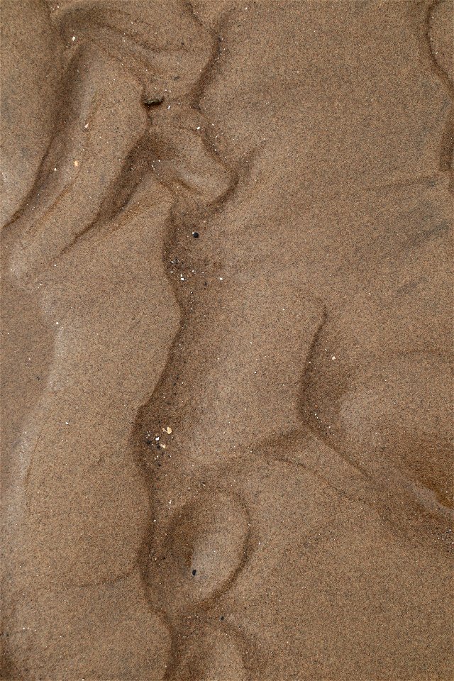 Sea Sand photo