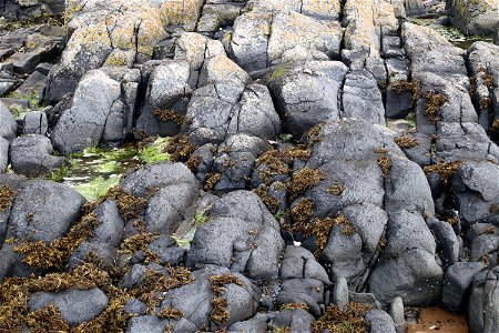 Rock Cliff photo