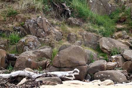 Rock Cliff photo