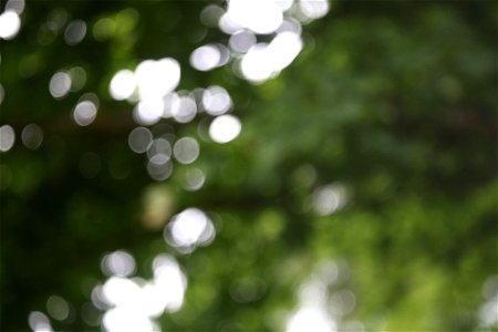 Bokeh