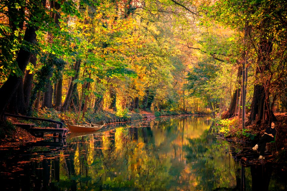 Landscape depth trees