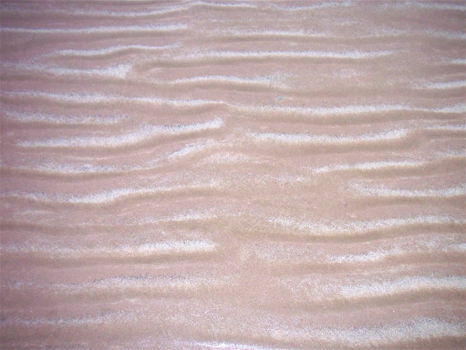 Sea Sand photo