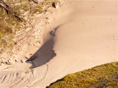 Sea Dunes photo