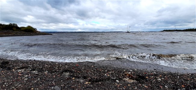 Sea Edge