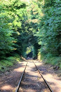 Railway Tracks photo