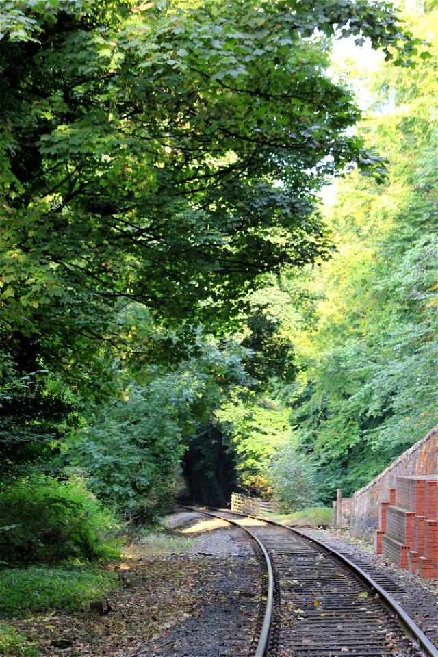 Railway Tracks photo