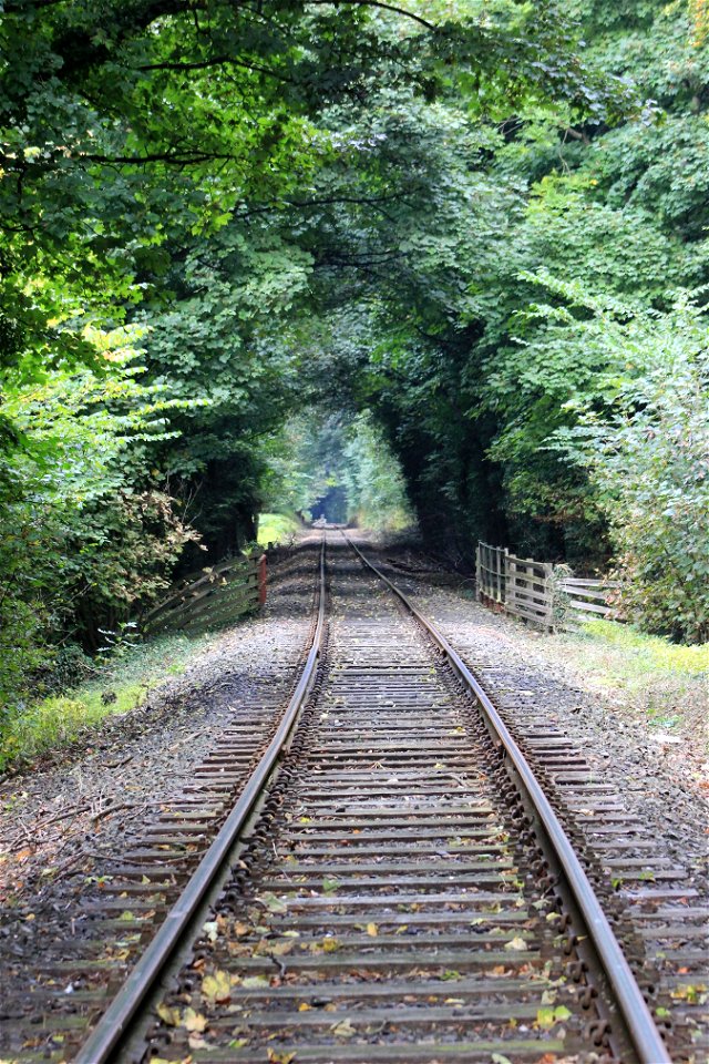 Railway Tracks photo