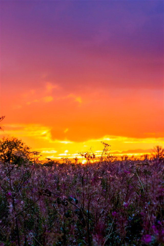 Sky Sunrise Sunset