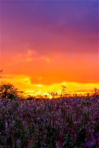 Sky Sunrise Sunset