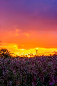 Sky Sunrise Sunset photo