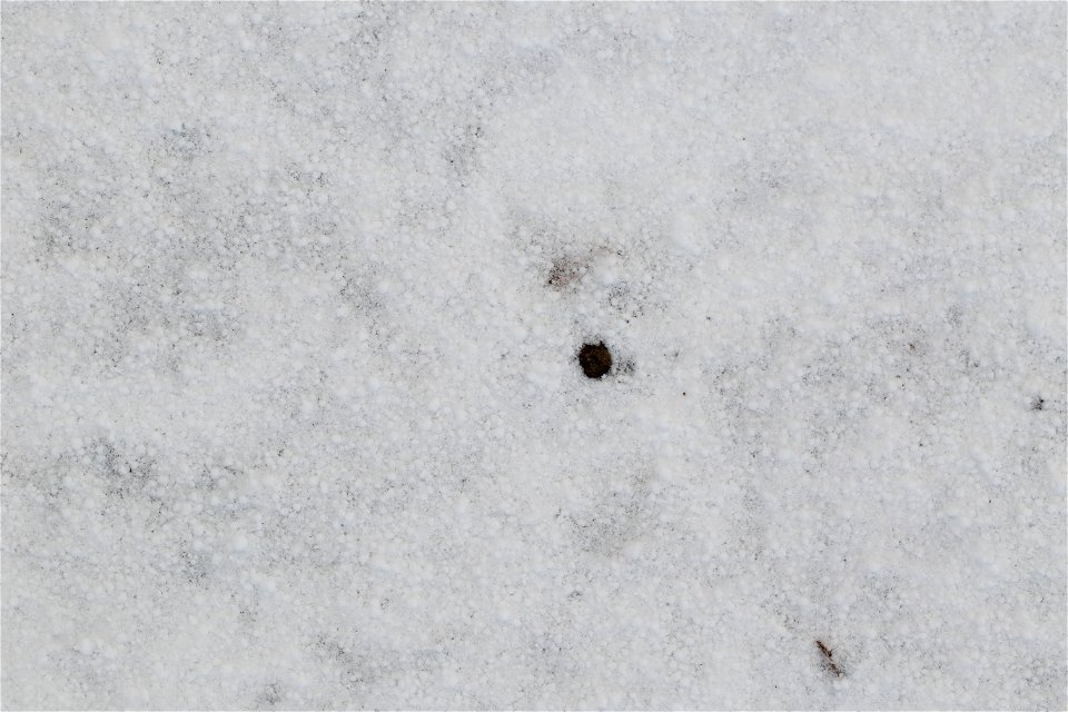 Water Ice and Snow