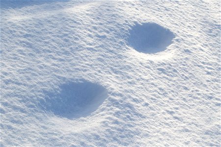 Water Ice and Snow
