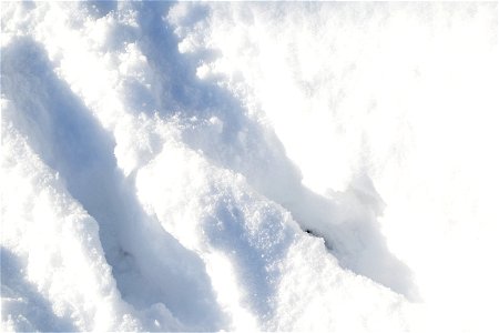 Water Ice and Snow