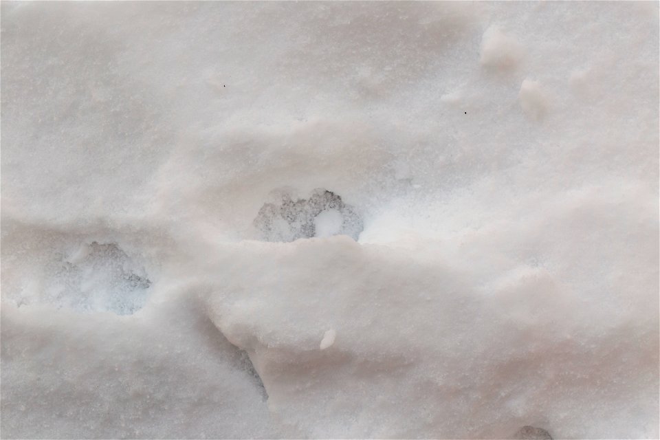 Water Ice and Snow
