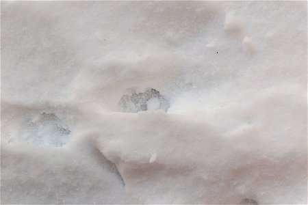 Water Ice and Snow