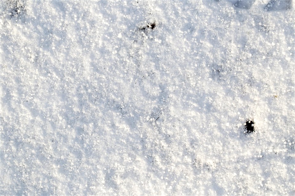 Water Ice and Snow