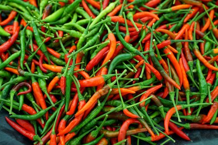 Malausian chilis asian ingredients cooking photo