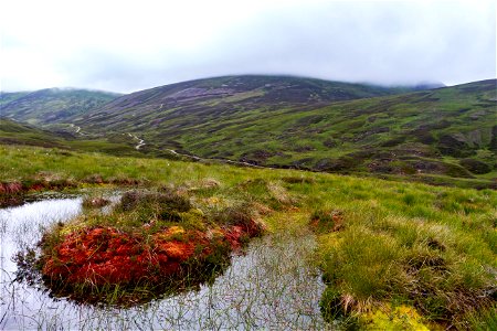 Nature Mountains