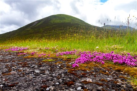 Nature Mountains photo