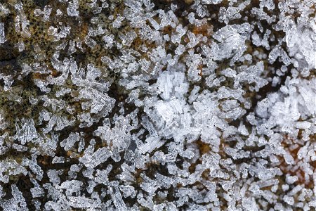 Water Ice and Snow