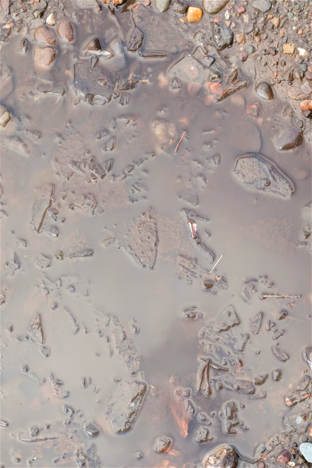 Water Ice and Snow