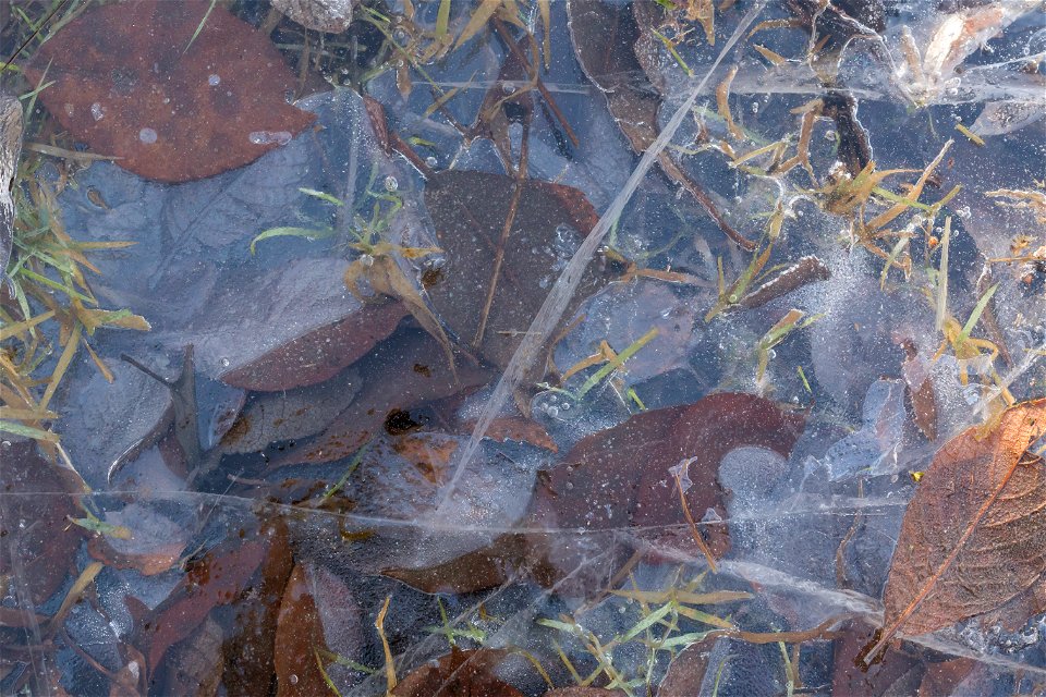 Water Ice and Snow