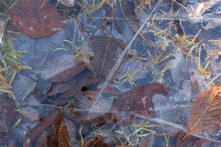 Water Ice and Snow photo