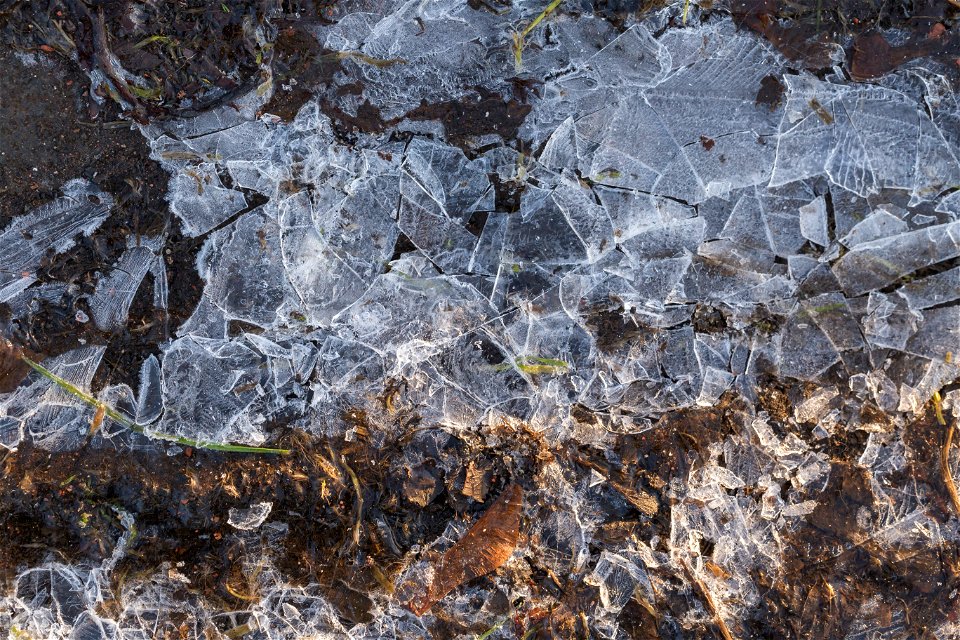 Water Ice and Snow