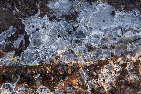 Water Ice and Snow
