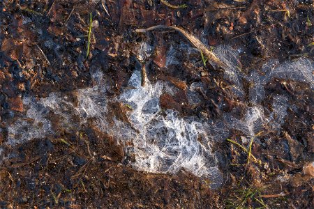 Water Ice and Snow photo