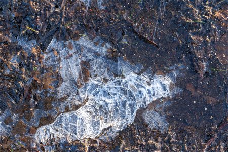 Water Ice and Snow photo