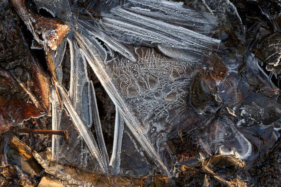 Water Ice and Snow