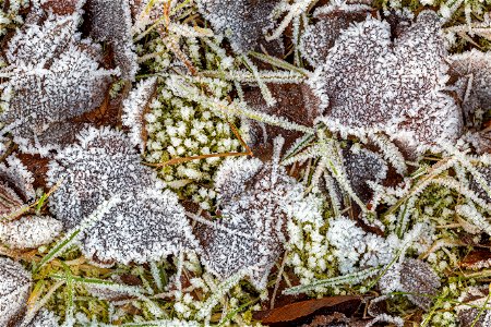Ground Frozen