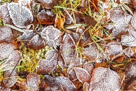 Ground Frozen