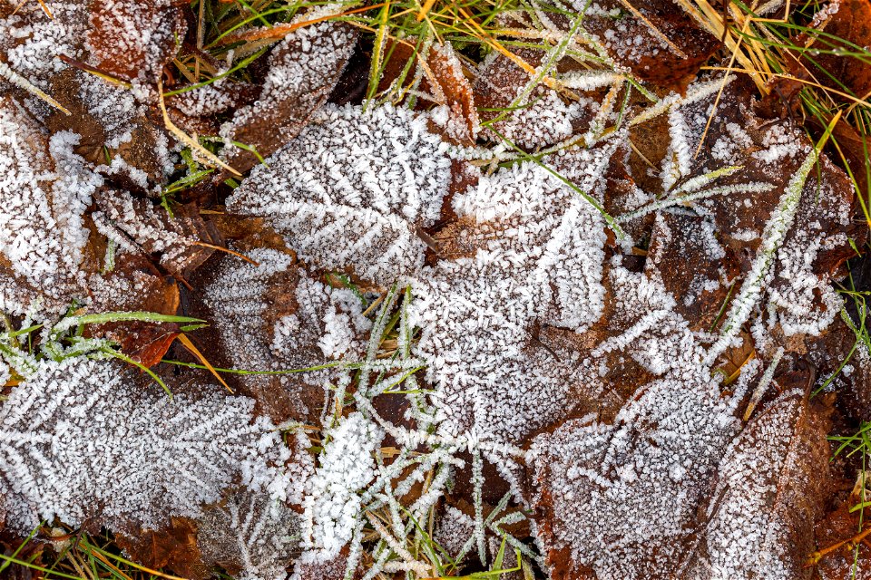 Ground Frozen