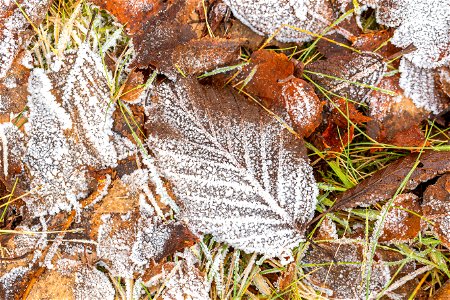 Ground Frozen